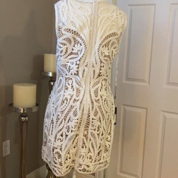 Tadashi Shoji NWT Illusion Crochet Lined Dress - Picture 3 of 16